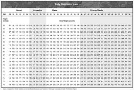 wellness bmi boardman medical supply