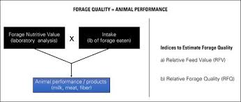 Forage Quality Indices For Selecting Hay Nc State