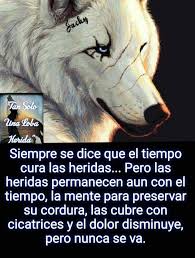 Hermosas Palabras Lobo Herido Luna Llena Lobo Fantasia