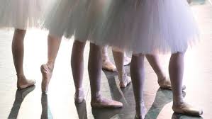 How we picked these shoes. Pair De Deux Never Ever Without My Pointe Shoes