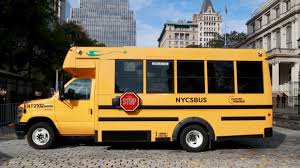 Image result for Yellow 2022 Fleet