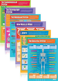 Buy Set Of 9 Applied Anatomy Physiology Posters Physical