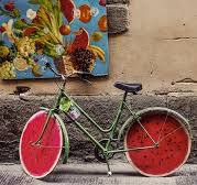 Studio Legale Treviso | Avvocato Treviso | Studio Miotto ...