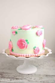 Cake Decorating For Beginners Book 10 Easy Cakes For You Rose Bakes Easy Cake Decorating Cake Decorating For Beginners Buttercream Cake Decorating