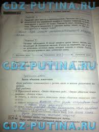 решебник по английскому языку 6 класс биболетова рабочая тетрадь 2014 Gdz Ot Putina Anglijskij Yazyk 5 Klass Rabochaya Tetrad Otvety Prakard
