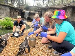 Jacksonville Zoo and Gardens