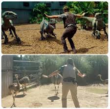 It was inspiring to watch chris pratt remain in control of his raptors in jurassic world — but he's not the only one who can control wild animals. Zookeepers Everywhere Have A New Jurassic World Meme And It S Hilarious Popbuzz