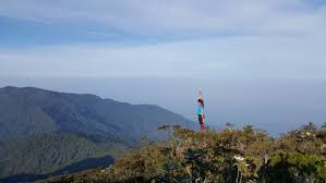12 hsbc bank malaysia berhad f 13 hong leong bank berhad l 14 india international bank (malaysia) berhad f 15 industrial and commercial bank of china (malaysia) berhad f 16 j.p. 8 Gunung Tinggi Di Malaysia Untuk Dijadikan Wishlist Buat Kaki Hiking