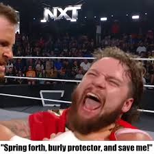 Misconceptions about wrestling fans and the sport's scripted nature