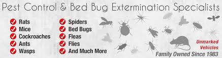 Maple pest is a leading pest control company in toronto provides bed bugs, ants, mice, cockroaches and spiders removal and extermination services at affordable are you looking for an effective pest and bed bug removal service in toronto? Toronto Pest Control Extermination Services Pest Control Toronto Local