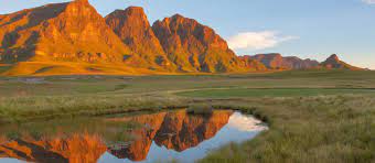 The rolling grasslands, wildflowers and silence provide complete isolation, with only the prolific bird life (including the bearded vulture) and the odd rhebok for company. Sehlabathebe Safari Tours In Lesotho Enchanting Travels