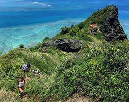 Maybe you would like to learn more about one of these? 5 Tips For Hiking Mini Crouching Lion From An Expert Hiker Hawaii Magazine