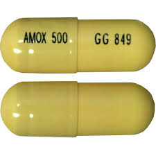 Image result for Amoxicillin