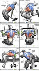 arka kol back weight exercises muscle building workouts weights workout