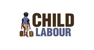 The world day against child labor is held annually on june 12. World Day Against Child Labour Guyana Chronicle