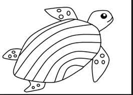 There are many kinds of habitats that plants and animals like to live in. 25 Best Looking For Easy Water Animals Drawing For Kids Beads By Laura