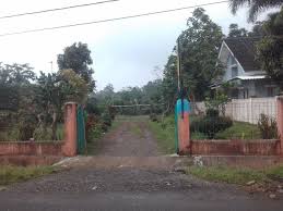 We did not find results for: Dijual Tanah Kebun 2 Ha Pinggir Jalan Cocok Untuk Perumahan Di Bojong Purwakarta