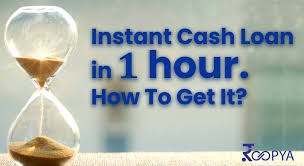 Fast approval for loans up to 10k. Instant Cash Loan In 1 Hour How To Get Without Paperwork