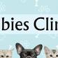 2025 River Vale Rabies Clinic event image