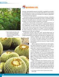 Libros de texto quinto grado. El Libro De Geografia De 6 Grado Solucionario Geografia Sexto Grado Material Educativo Primaria Geografia Sexto Grado Bloque 2 Decorados De Unas