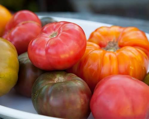 Heirloom Tomatoes 101 | Metropolitan Market