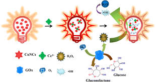 Hsp add maths f5, author: Fluorescent And Visual Assay Of H 2 O 2 And Glucose Based On A Highly Sensitive Copper Nanoclusters Ce Iii Fluoroprobe Springerlink