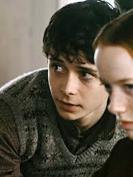 Gilbert Mayor Bridget Peterson