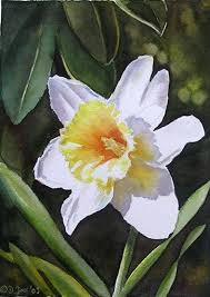 Pin On Watercolor Subject Daffodils