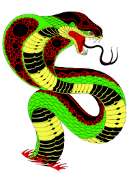 Chinese Snake Tattoo Google Search King Cobra Snake Cobra Tattoo Snake Tattoo
