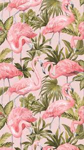 Flamingo Wallpaper Blush Pink Flamingo Wallpaper Love Wallpaper Butterfly Wallpaper