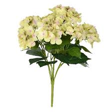 Spend less with gorgeous artificial. Vickerman 23 Artificial Green Hydrangea Bush Target