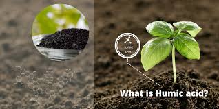 Unveiling The Power of Humic Acid in Agriculture