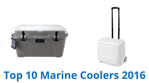 Top 6 best marine coolers reviews. Marine Coolers