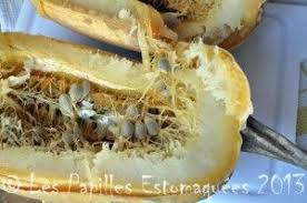 Courge Spaghetti Courge Spaghetti Courge Spaghetti