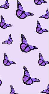 Download hd aesthetic wallpapers best collection. Purple Butterfly Aesthetic Purple Butterfly Wallpaper Butterfly Wallpaper Iphone Butterfly Wallpaper