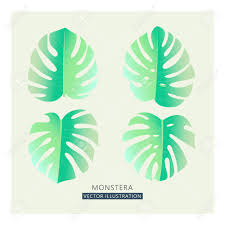 Now you can choose to go with the tropical tones i used to color in my flowers and background with, or you can choose your. Vector Tropical Palm Leaves Split Leaf Drawing In Tender Pastel Royalty Free Cliparts Vectors And Stock Illustration Image 75761626
