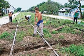 Con eso de que 'todos' quieren el tren. Tren Maya Tendra Que Comprar 34 De Su Ruta