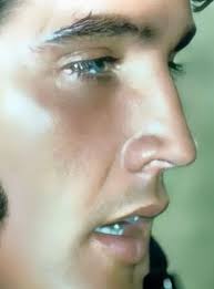 This is what a King looks like in his last moments of life 🦁 The scene was  captured by photographer Larry Pannell, who published this shocking  photograph in 2018📸. "We found him