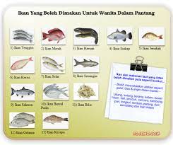 Digalakkan untuk makan ikan yang segar dan mengelakkan ikan bawal hitam, terubuk, duri, pari, sembilang serta parang yang mana berpotensi menyebabkan bisa dan bentan pada pintu rahim. Resipi