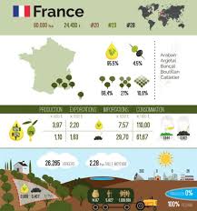 Le Marche De L Huile D Olive Production Consommation Importation Jus D Olive