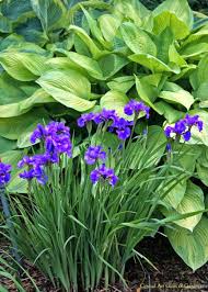 Pin On Garden And Outdoor Design