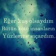 Eger Kus Olsaydim Butun Kotu Insanlarin Yuzune Sicardim Sozler Anlamlisozler Guzelsozler Manalisozler Ozlusozler Alinti Alintil Guzel Soz Ozlu Sozler Ve Alintilar