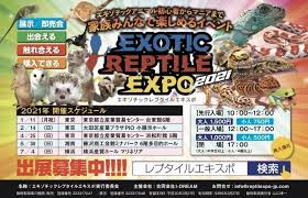 今年もあと1ヶ月となりましたね しばらくお休みしているexpo開催ですが 2021年前半の日程が確定しました 1 11 月祝 東京浅草台東館開催は只今出展者様募集中です 皆様と会場でお会いでき 詳しくは http reptilexpo jp com 73981 エキゾチックアニマル