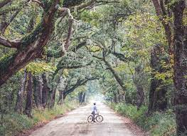 The area that surrounded charleston, along the coast of south carolina. A Lowcountry Sc Road Trip The Places You Have To Visit In Carolina