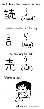Saves you having to anki every day to remember them. What I Wish I Knew Before Learning Kanji A Quick Guide To Radicals Japanese Words Japanese Language Learning Learn Japanese Words