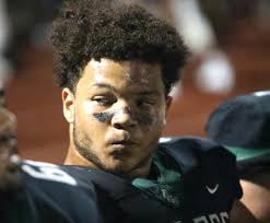 Palm Coast Observer 11-14-24 by Observer Local News