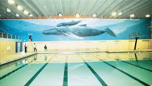Ww 25 Humpbacks Lamphere High School Detroit Michigan 110 Feet Long X 15 Feet High Dedicated October 8th 1990 By Jam Wyland Wyland Art Marine Life Art