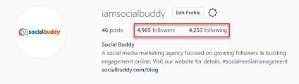 The best 4k stogram alternatives are barinsta, raider for instagram and save from web. Is Instagram Following List In Order Instagram Follow Badge