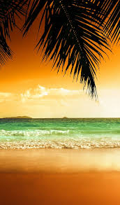 Sunset on the beach time lapse. Background Hd Wallpaper Ocean Beach Sand Sunset 600x1024 Download Hd Wallpaper Wallpapertip