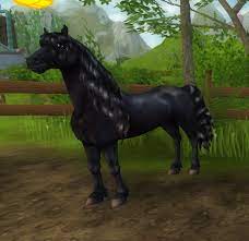 Obwohl es eigentlich als arbeitspferd gezüchtet wurde, ist es im mittelalter vermehrt als kriegspferd eingesetzt. Friese Star Stable Wiki Fandom
